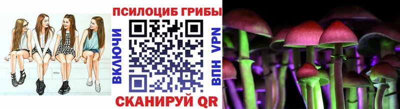 Псилоцибиновые грибы прущие грибы  как найти   Отрадная 